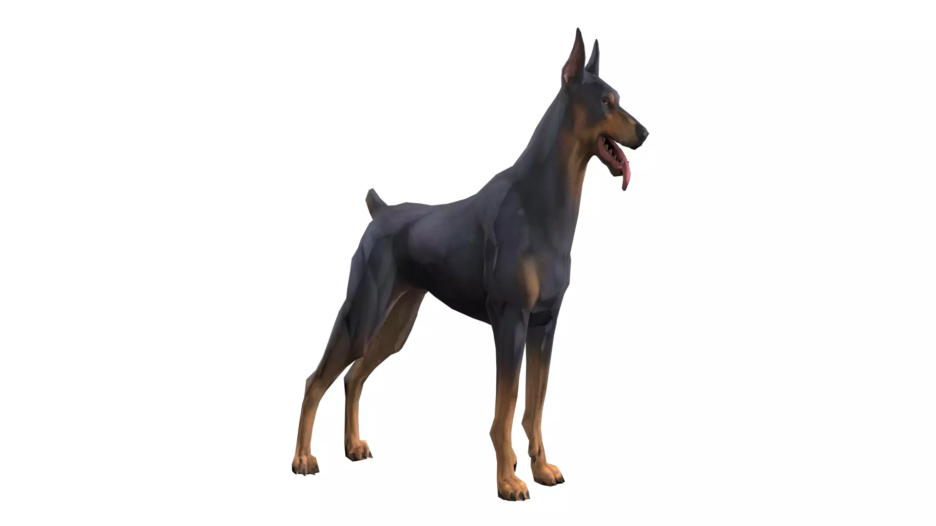 Doberman Dog Low-poly 3D model Low-poly 3D model
