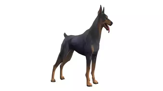 Doberman Dog Low-poly 3D model Low-poly 3D model