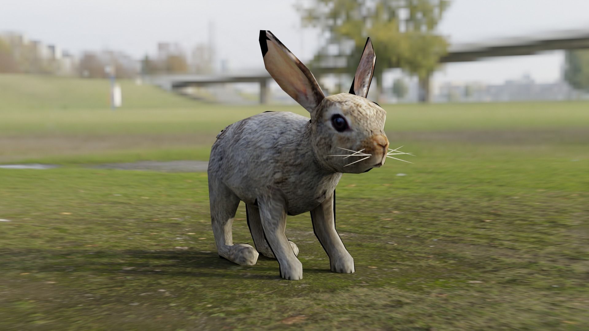 Low Poly Rabbit Low-poly 3D model_4