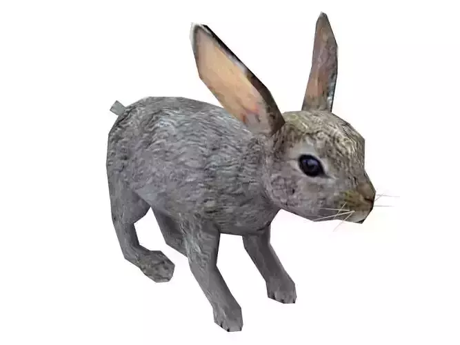 Low Poly Rabbit