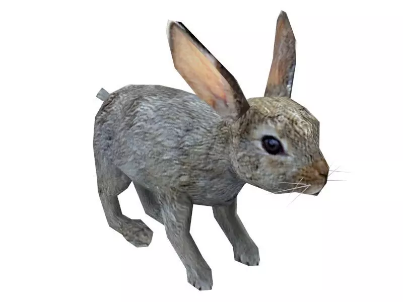Low Poly Rabbit Low-poly 3D model_0