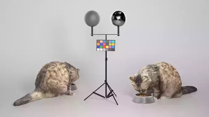 Fluffy cat 22 Low-poly 3D model