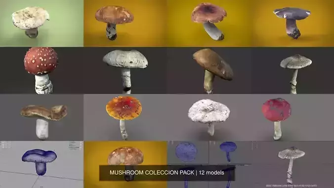 MUSHROOM COLECCION PACK 3D Model Collection
