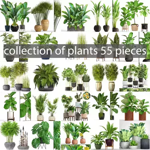 Collection of plants 55 pieces 
