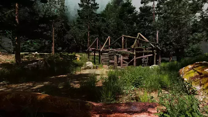 abandoned forest house