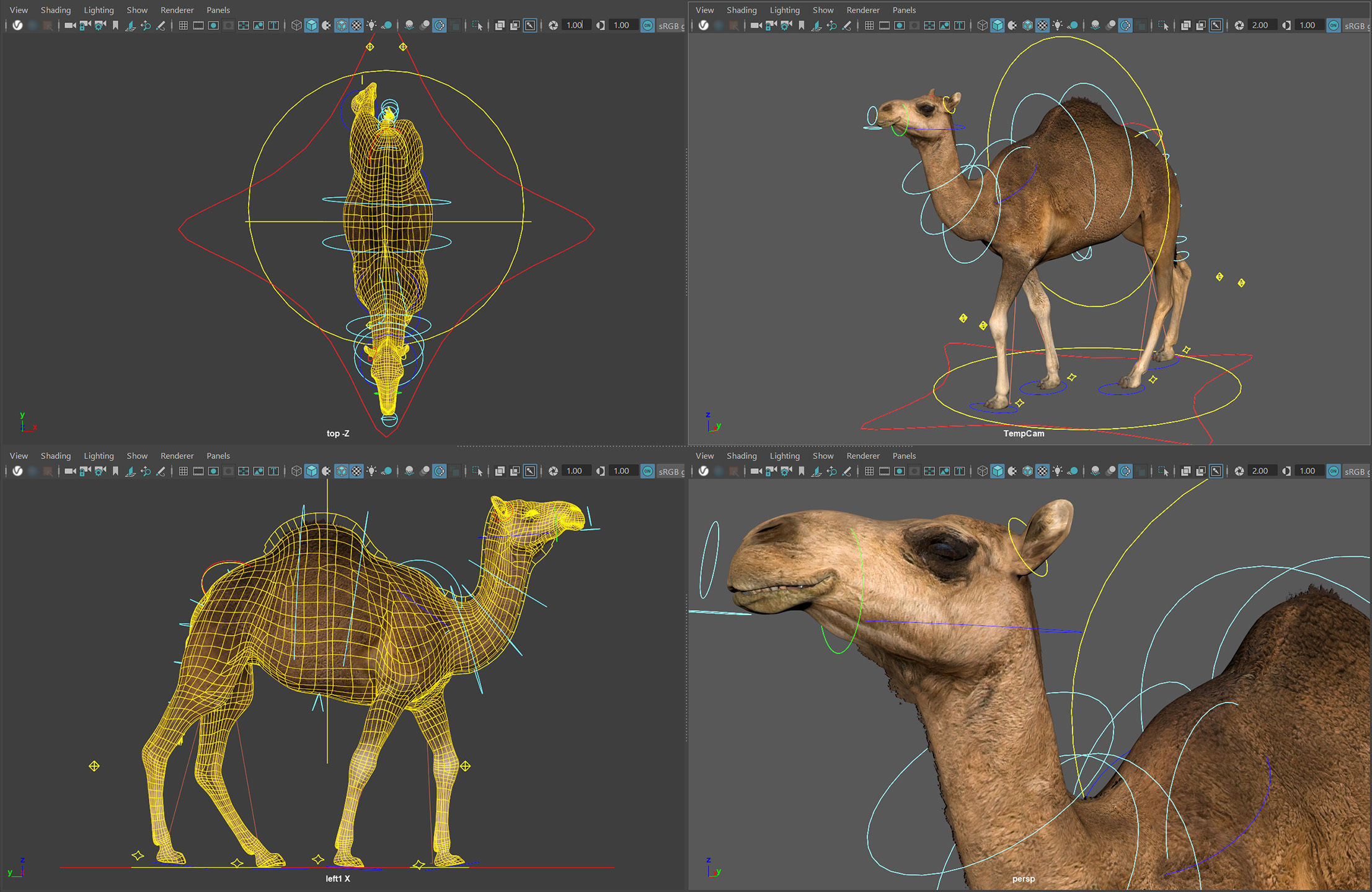 Animated Camel v2 3D model_9