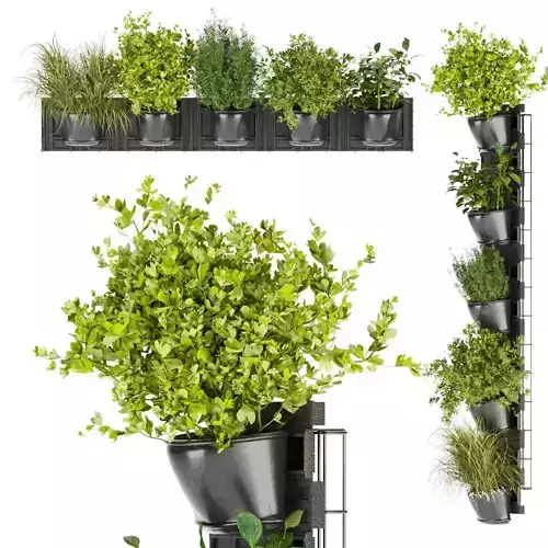 Collection plant vol 238