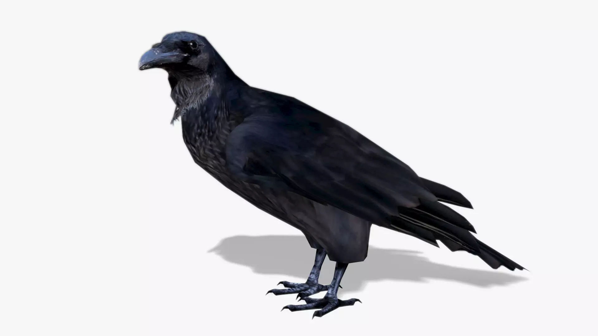 Raven Low-poly 3D model