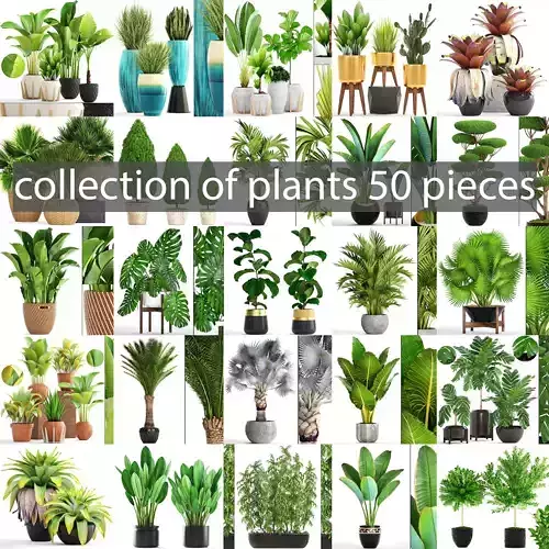 Collection of plants 50 pieces