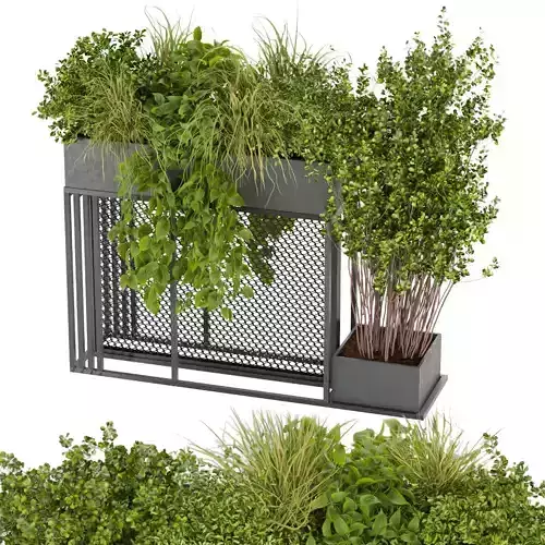 Collection plant vol 239