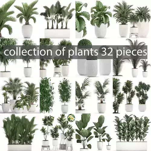 Collection of plants 32 pieces