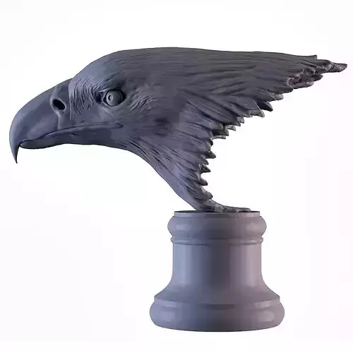 Eagle head