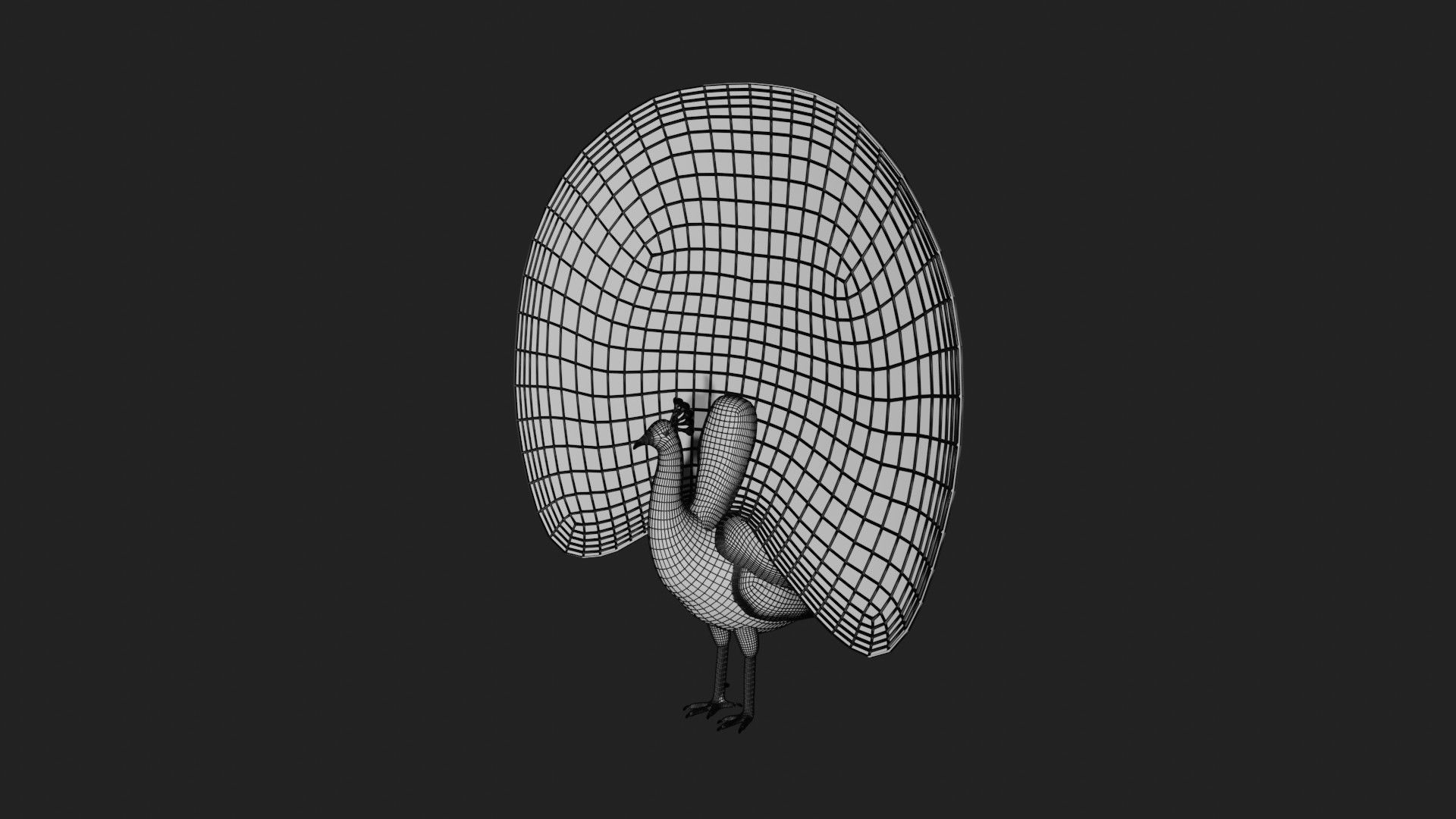 Peacock Low-poly 3D model_9