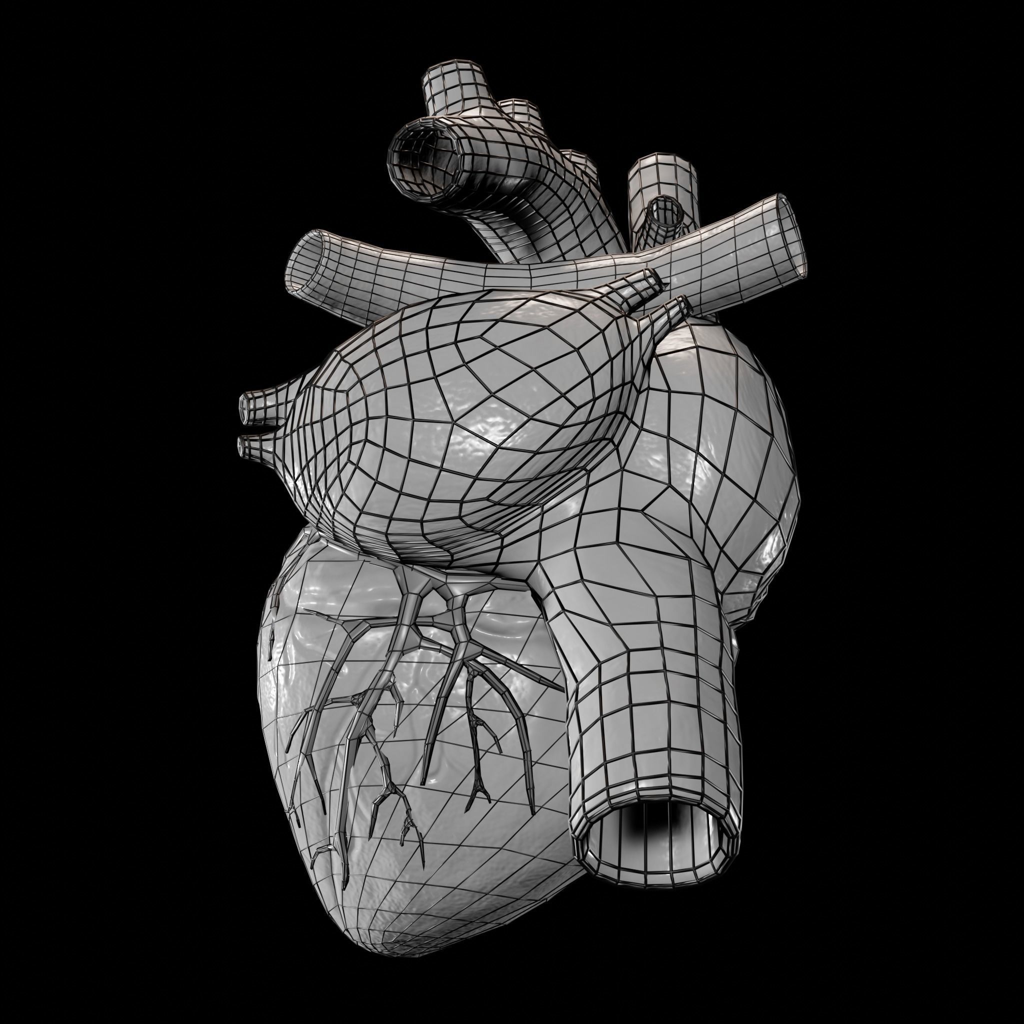Animated human heart Low-poly 3D model_11