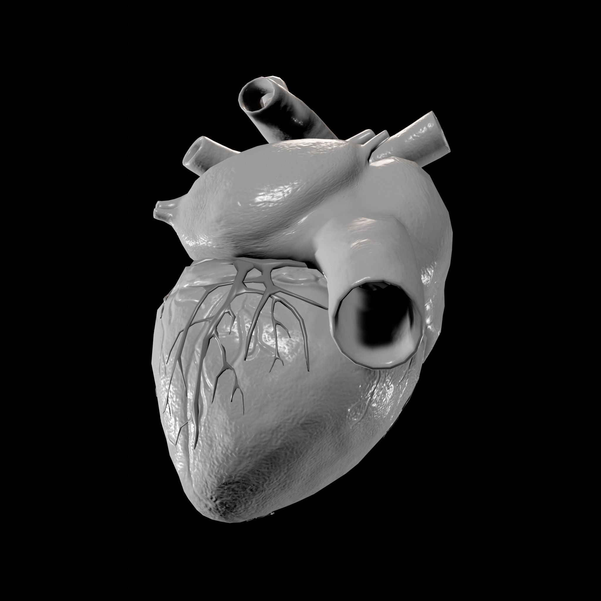 Animated human heart Low-poly 3D model_7