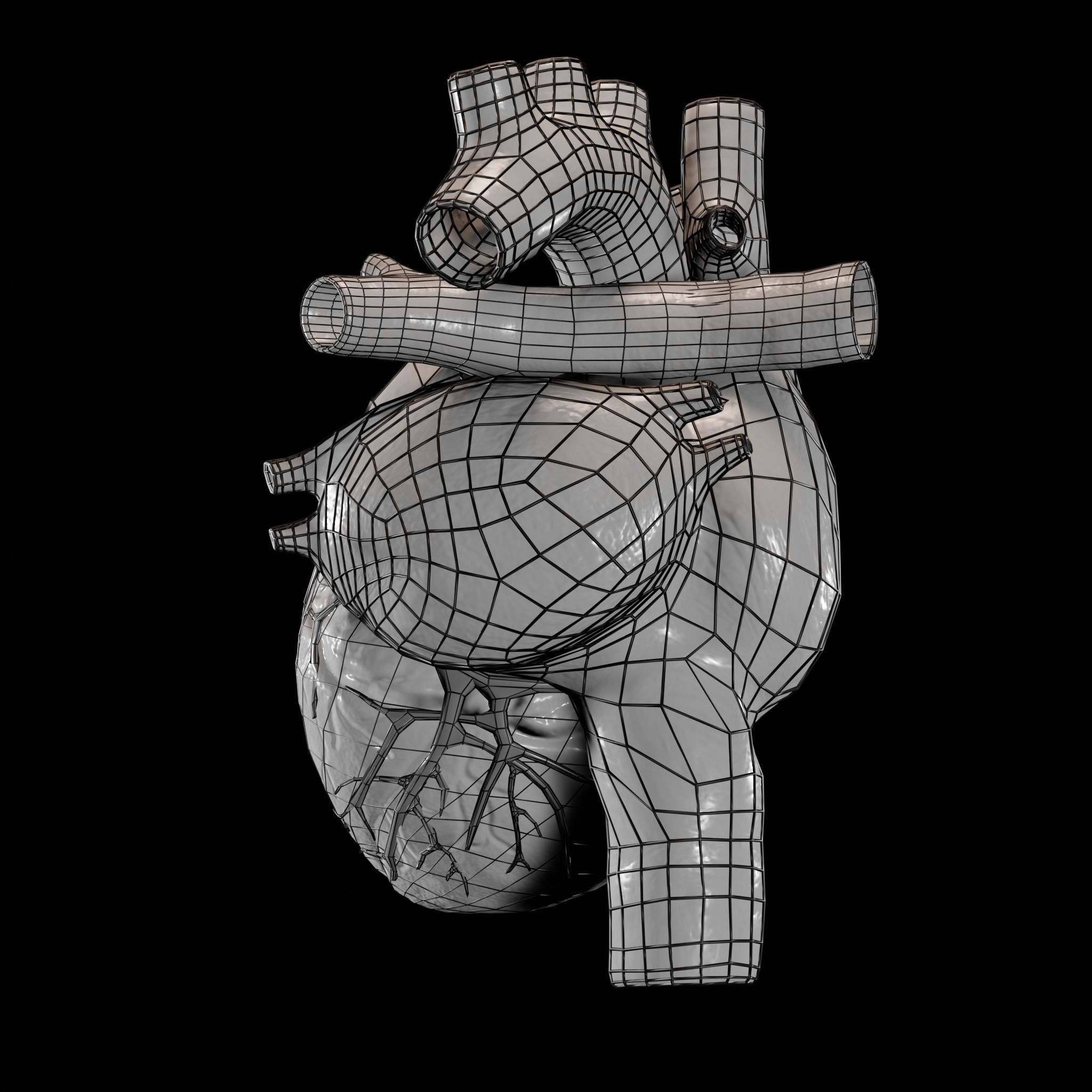 Animated human heart Low-poly 3D model_8