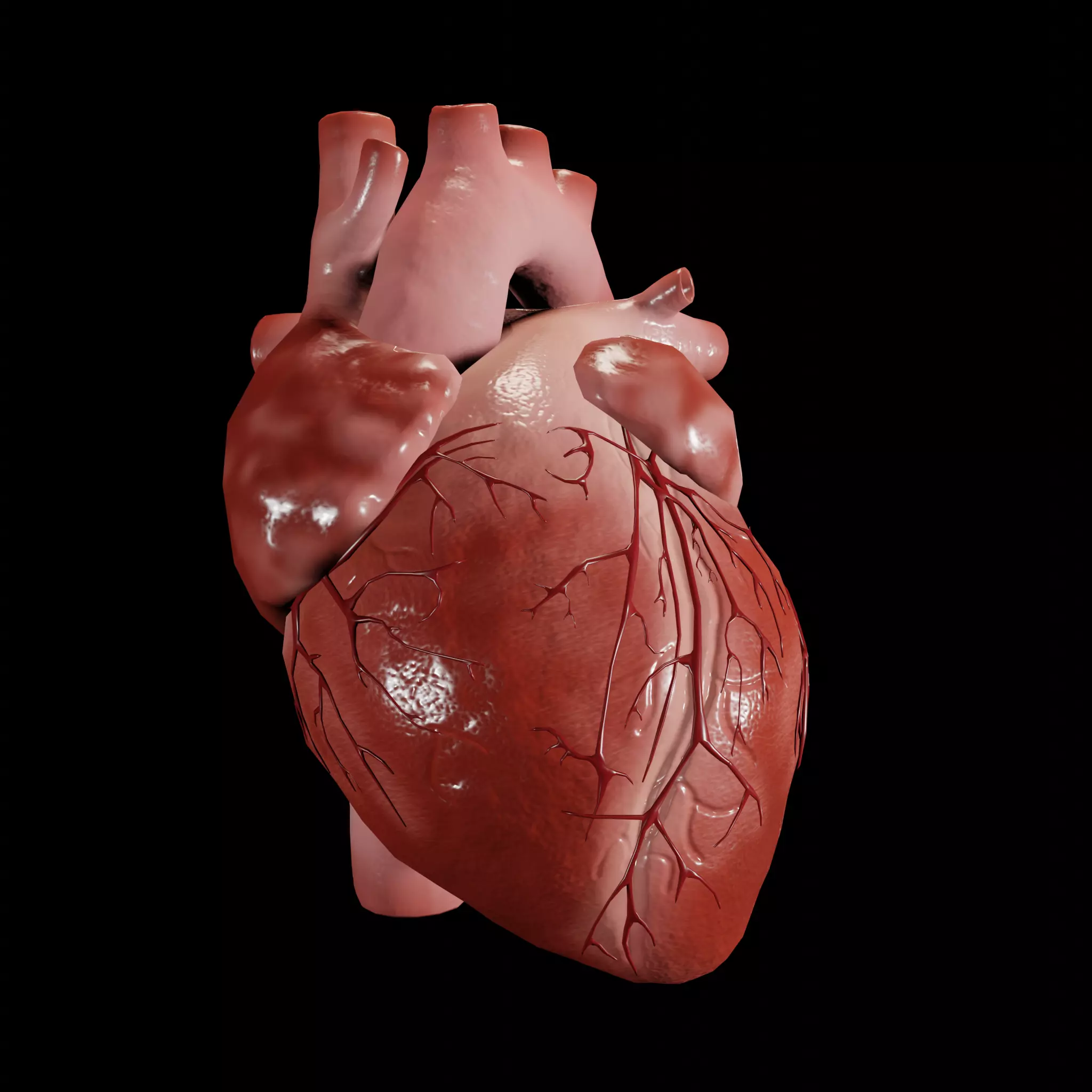 Animated human heart Low-poly 3D model_0