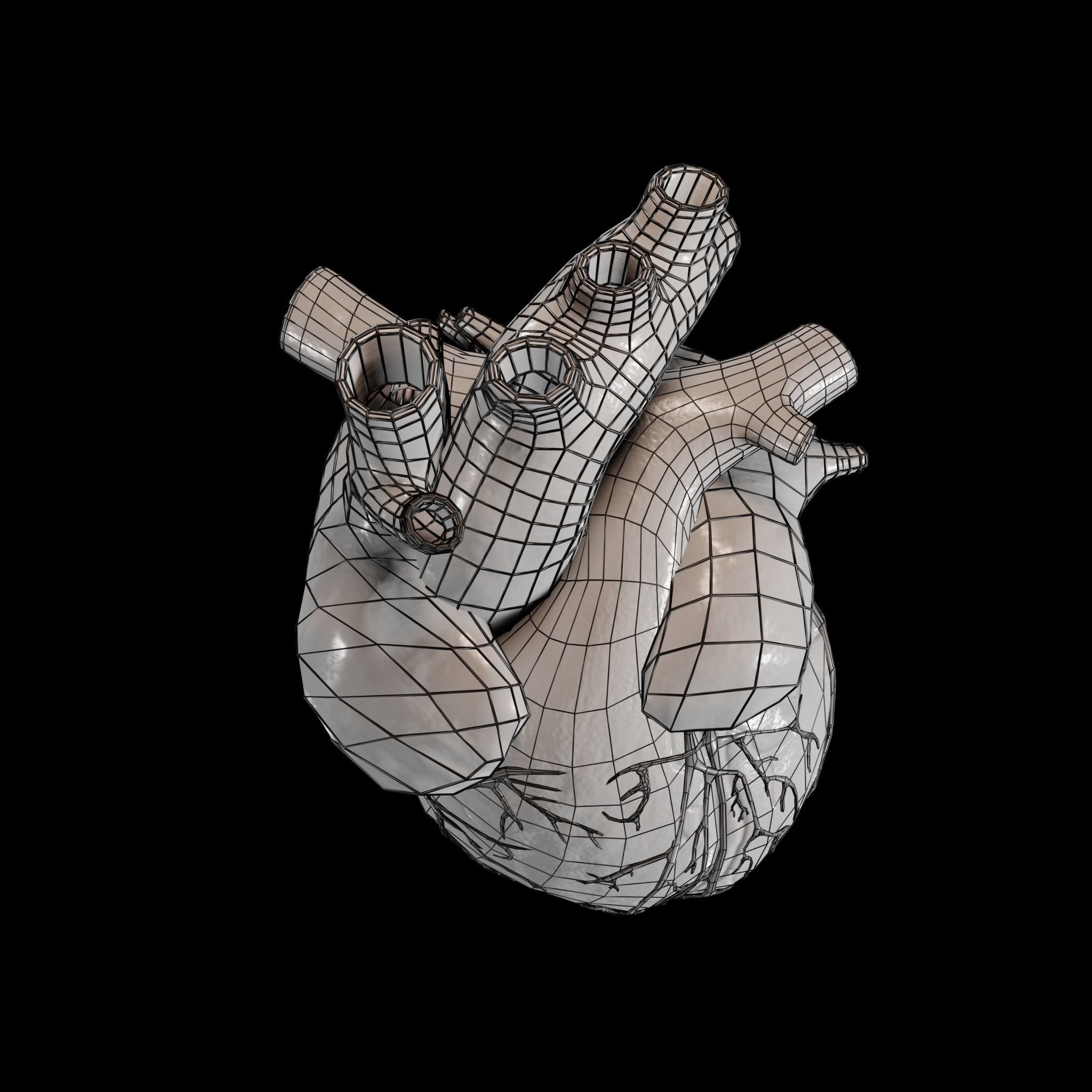 Animated human heart Low-poly 3D model_10