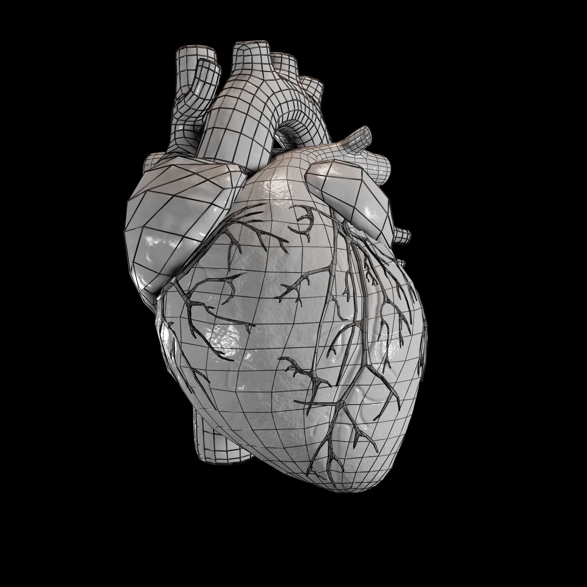 Animated human heart Low-poly 3D model_9