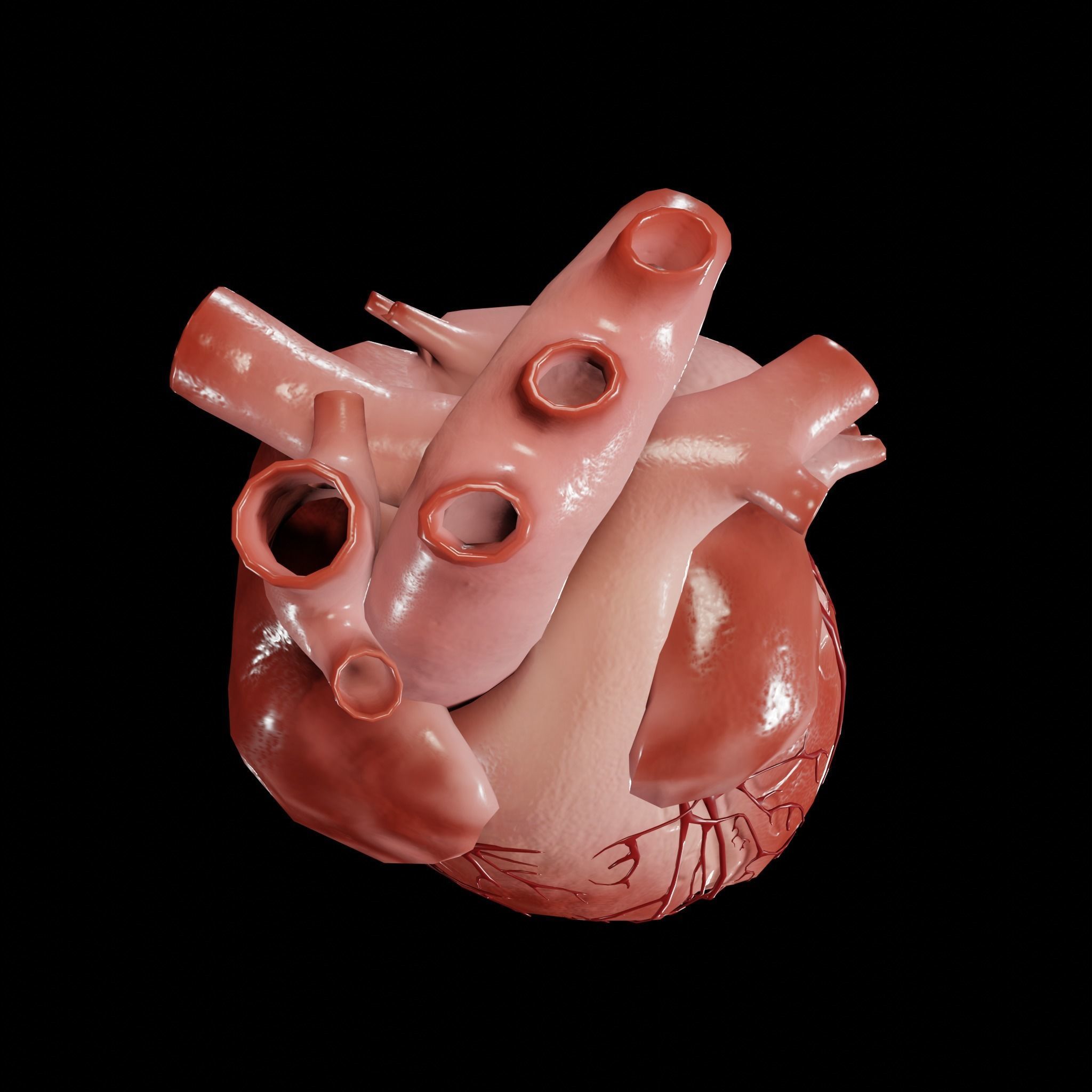 Animated human heart Low-poly 3D model_3