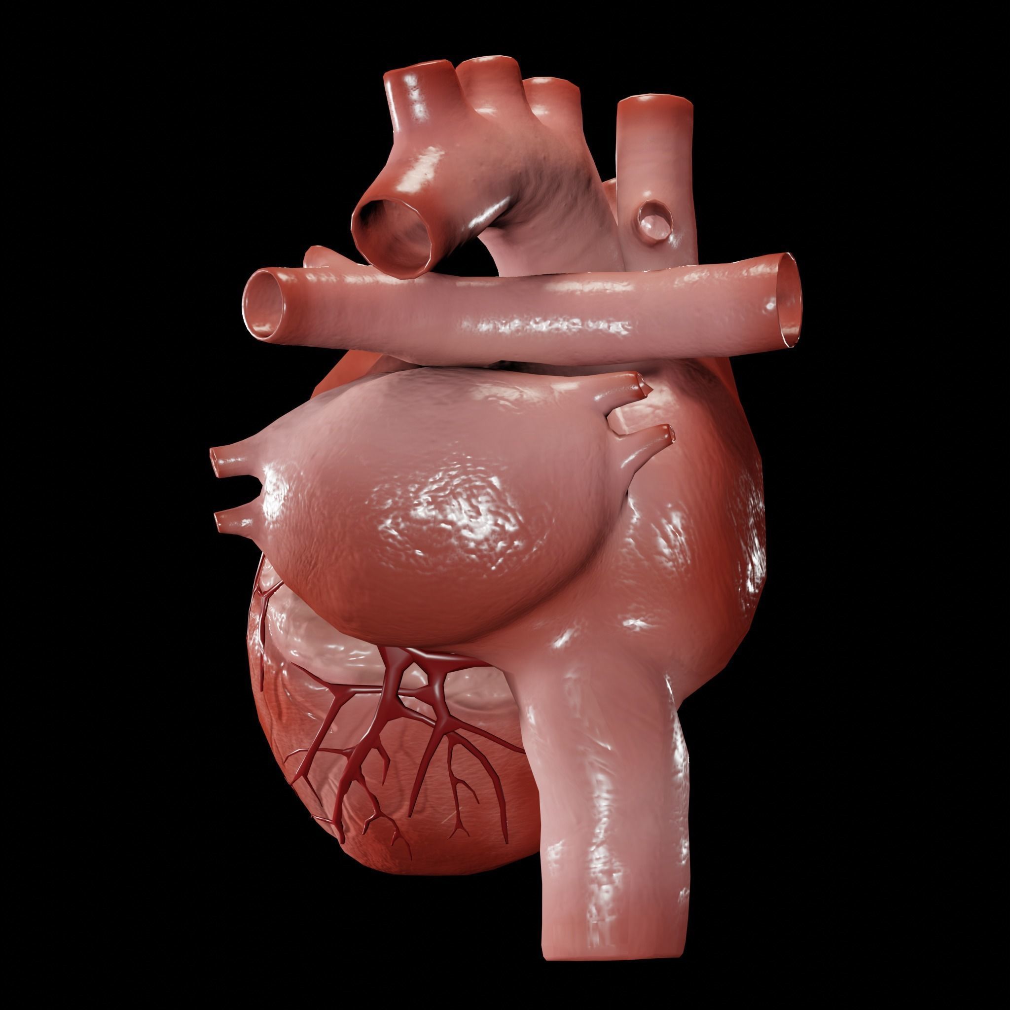 Animated human heart Low-poly 3D model_2