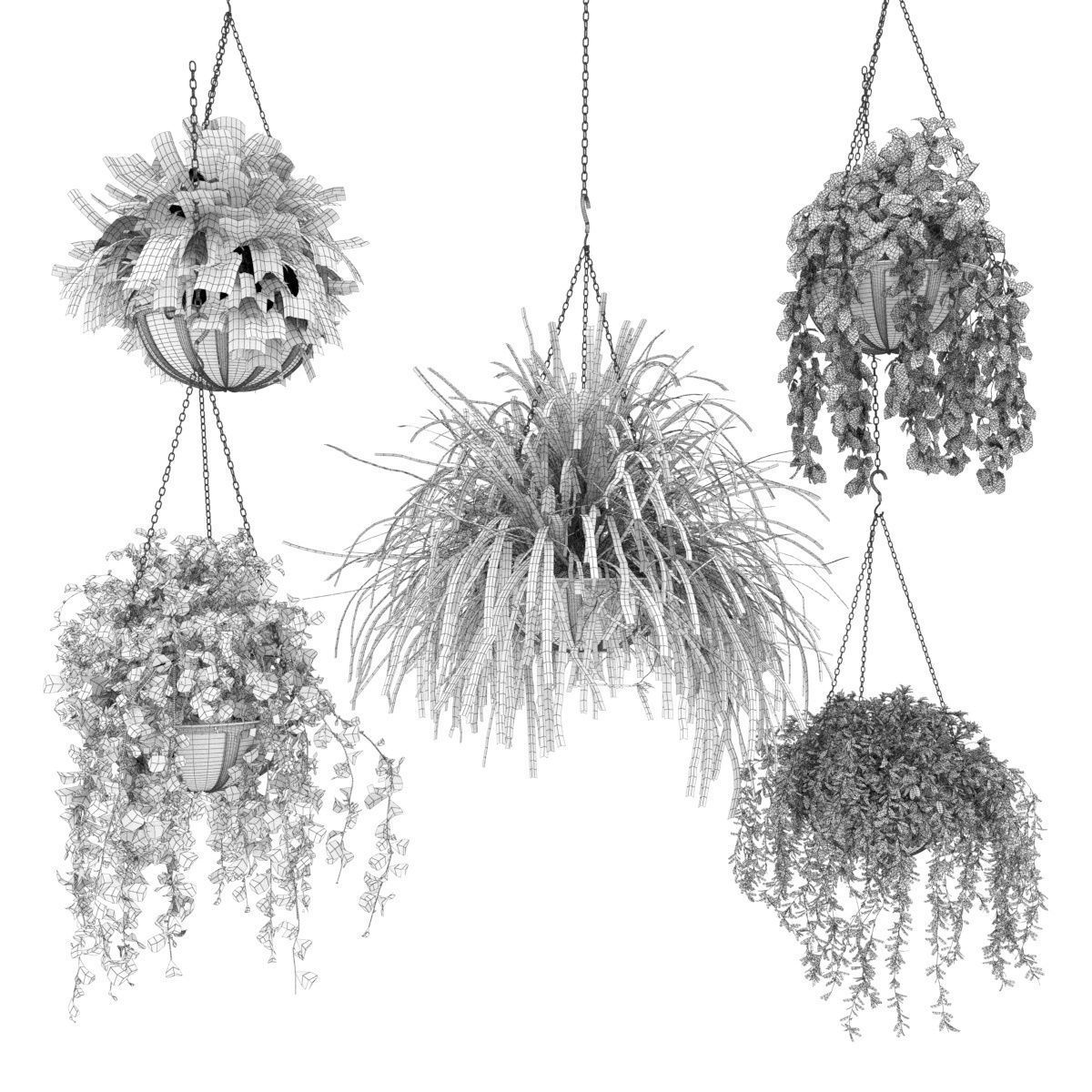 Collection plant vol 240 3D model_6