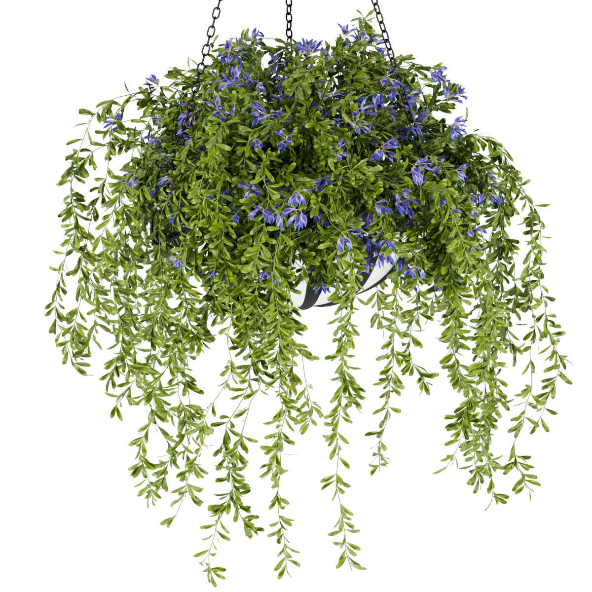 Collection plant vol 240 3D model_4