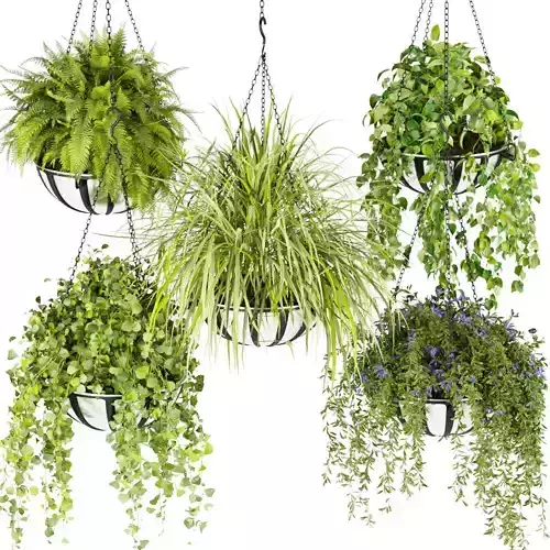 Collection plant vol 240 3D model