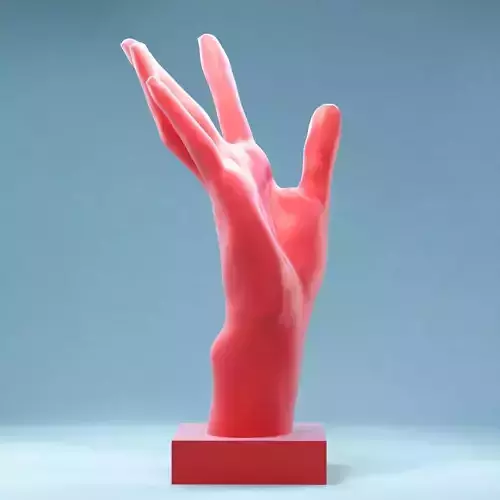 Hands 4 mannequin hand 3D print model