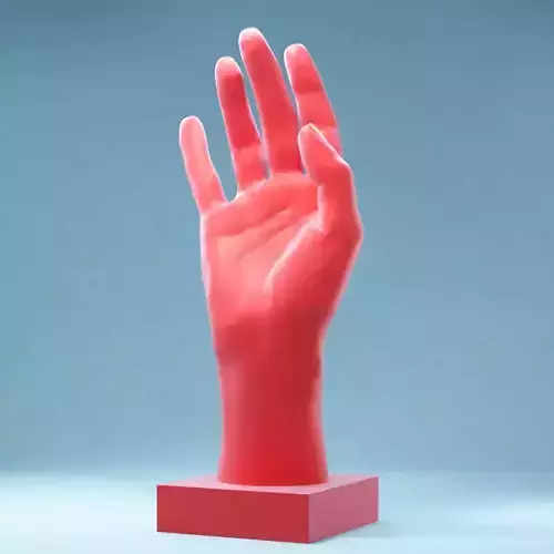 Hands 1 hand 3D print model