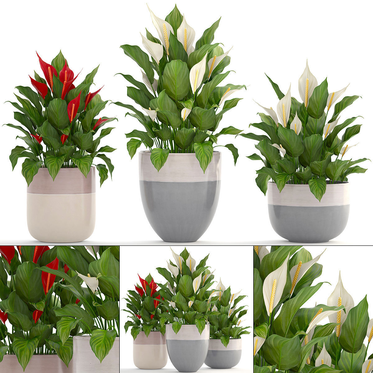 Collection of bouquets 30 pieces 3D model_21