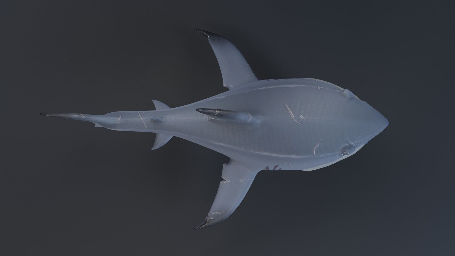 Stylized Shark rigged 3D model_13