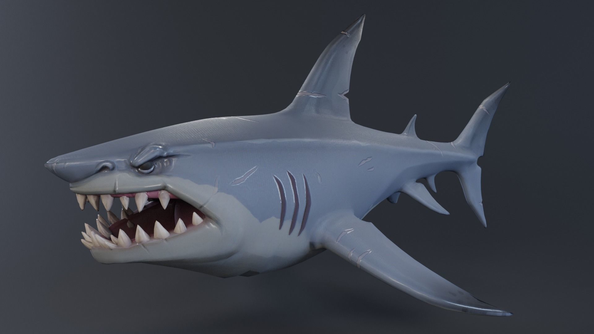 Stylized Shark rigged 3D model_9