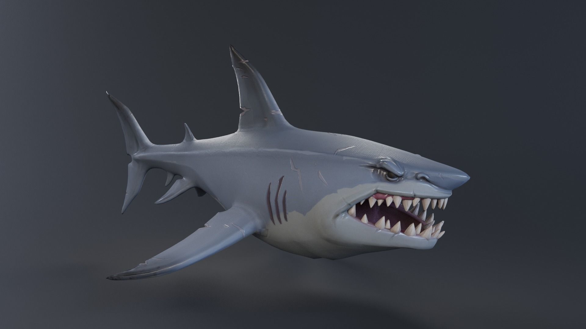 Stylized Shark rigged 3D model_11