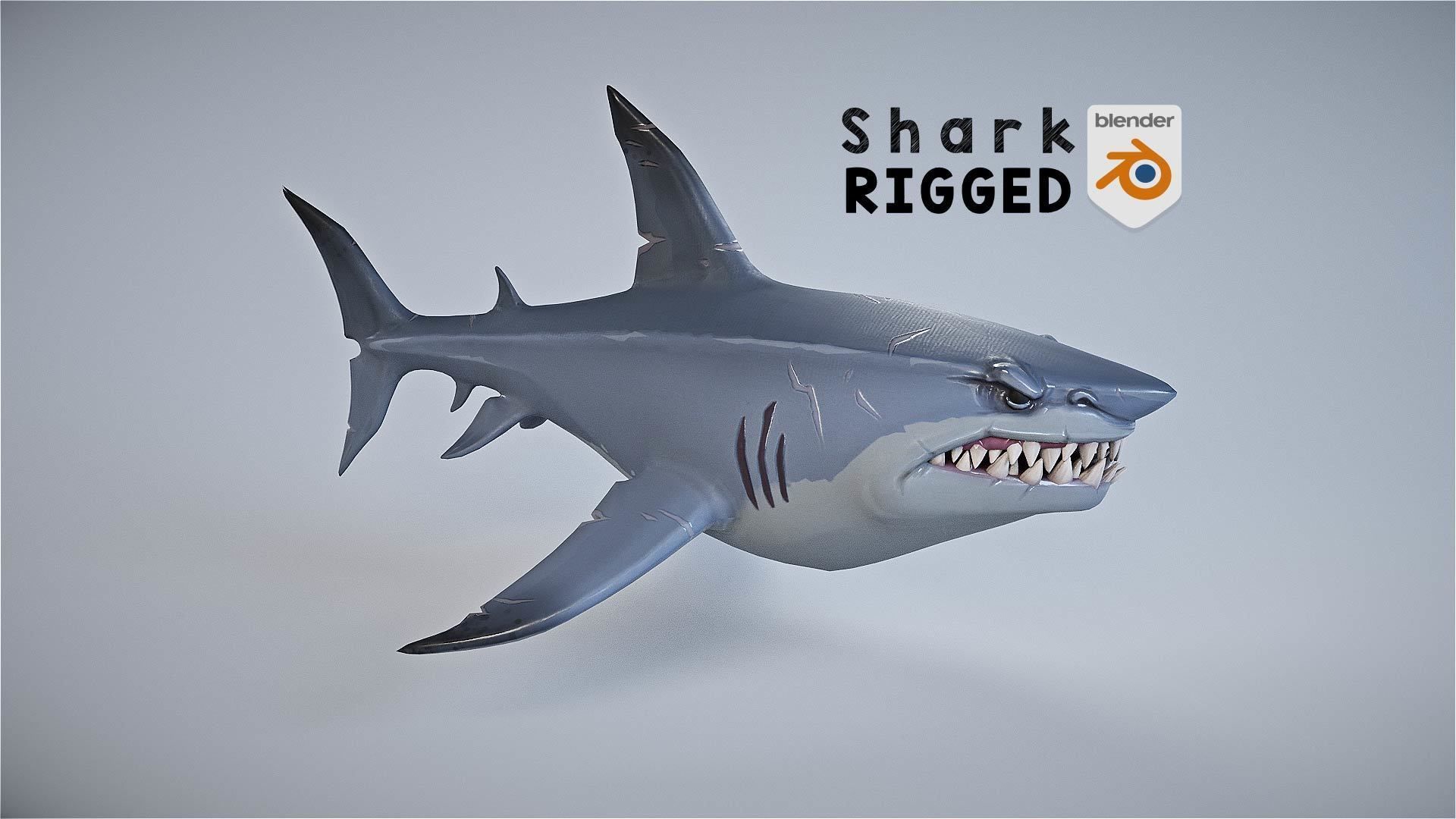 Stylized Shark rigged 3D model_16