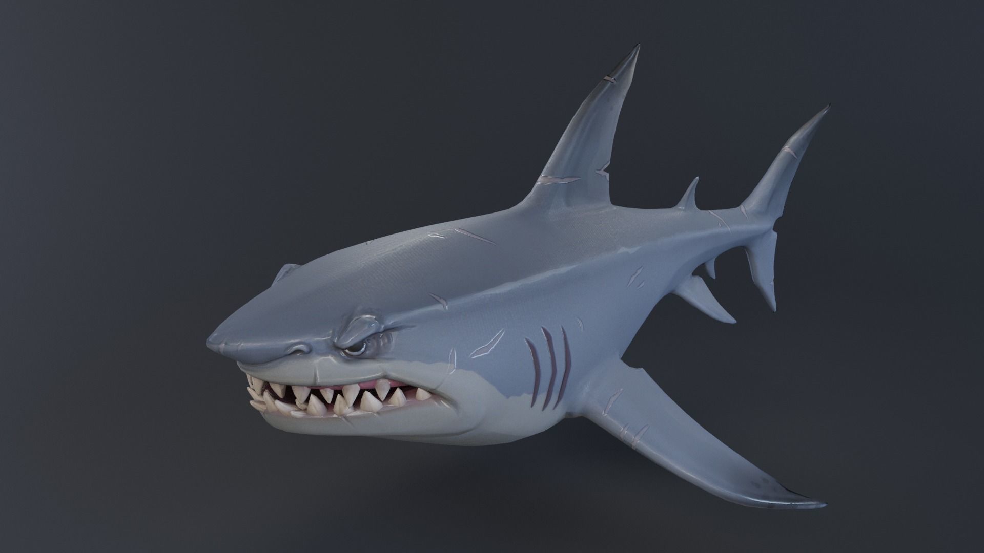 Stylized Shark rigged 3D model_4