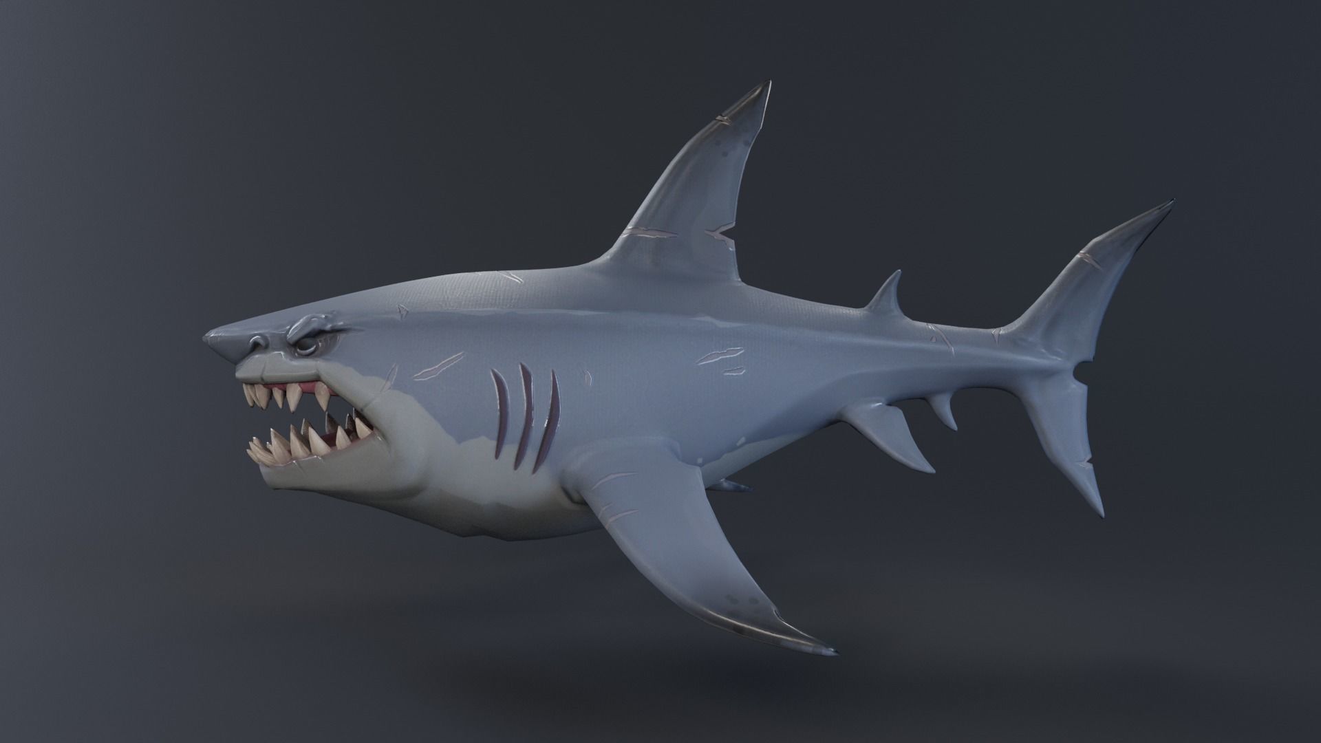 Stylized Shark rigged 3D model_12