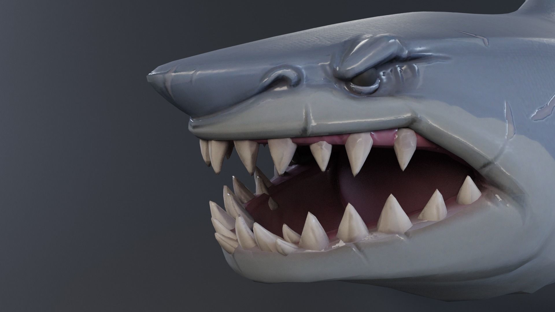 Stylized Shark rigged 3D model_6