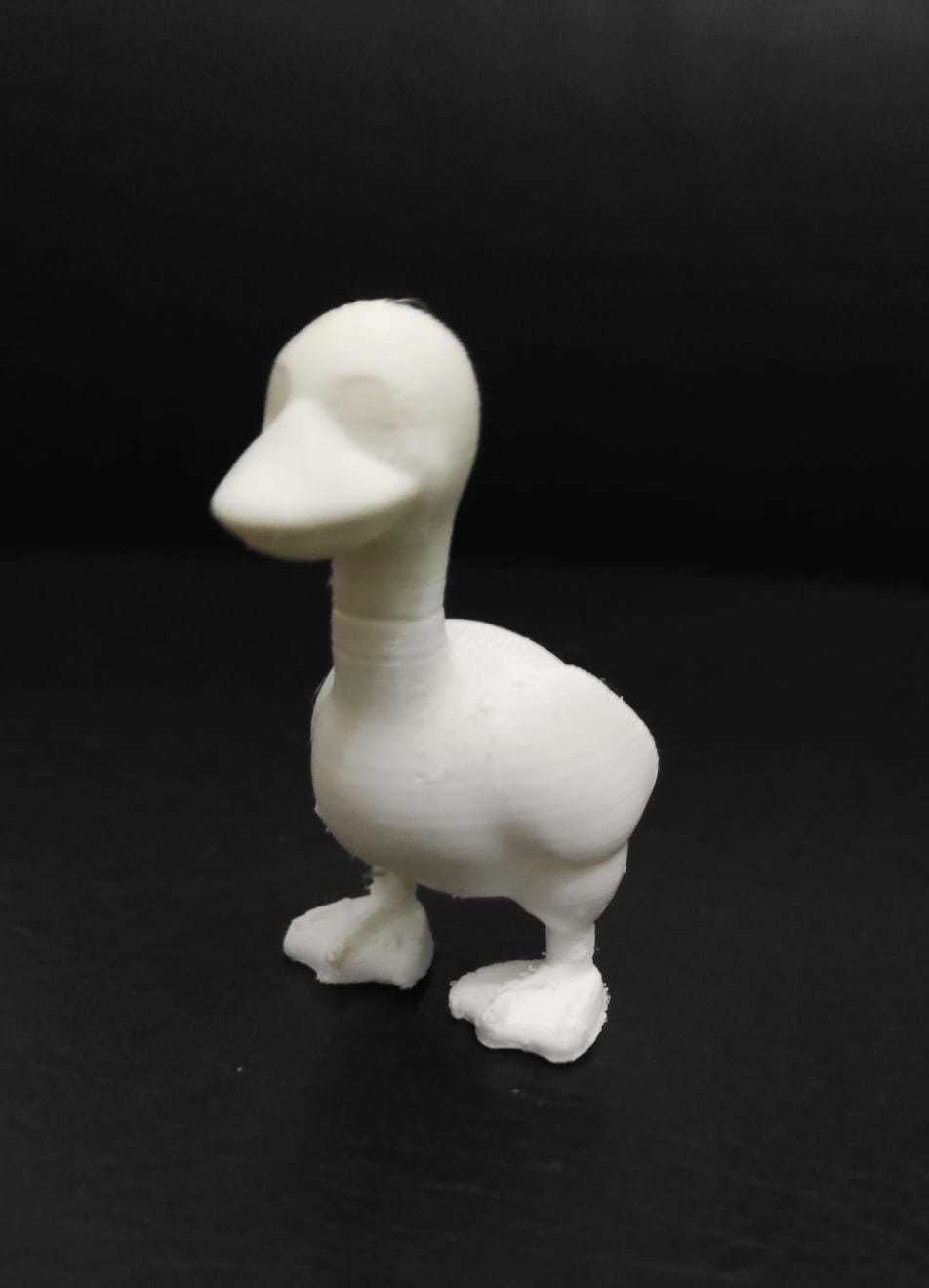 Cute Goose 3D print model_9