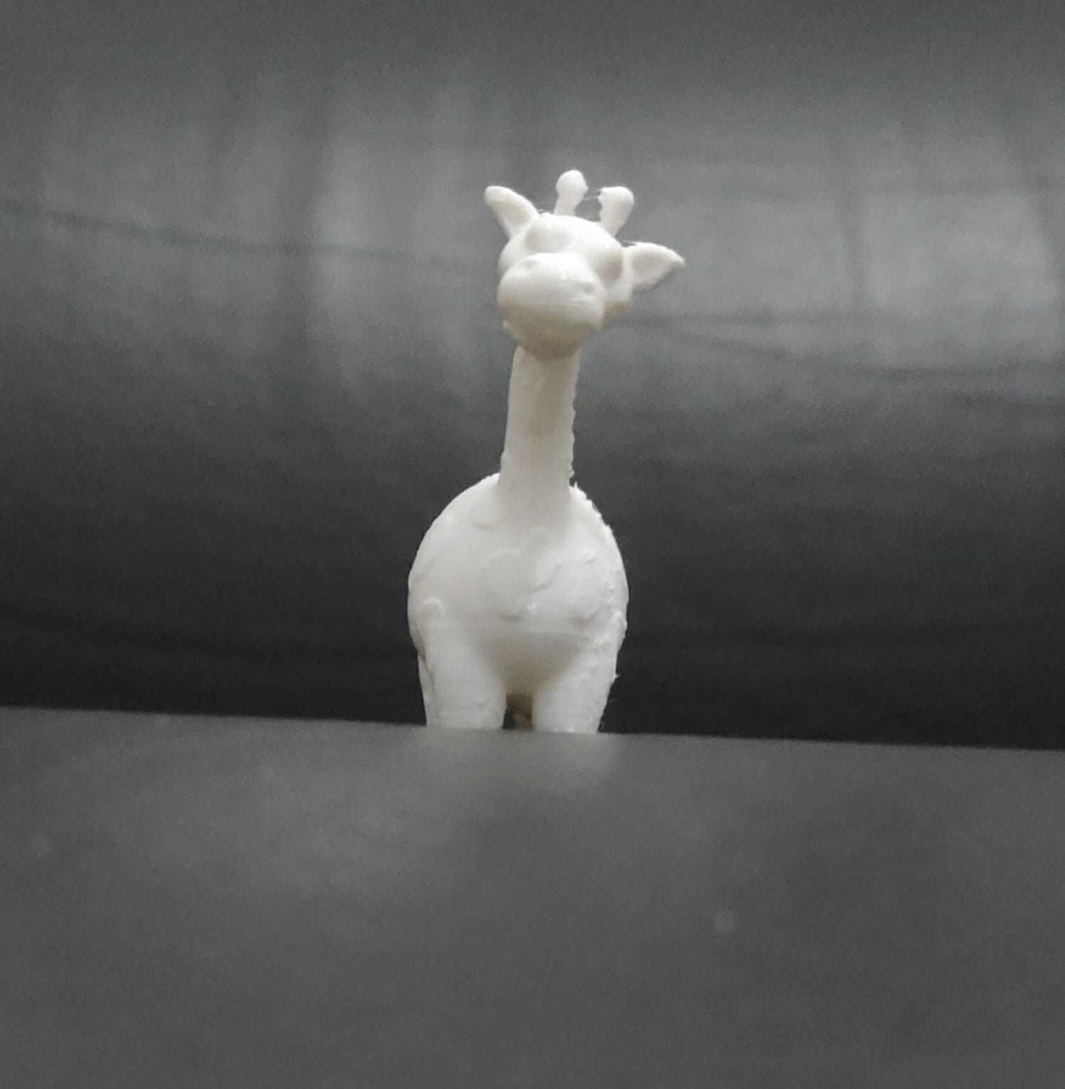 Funny Giraffe 3D print model_10