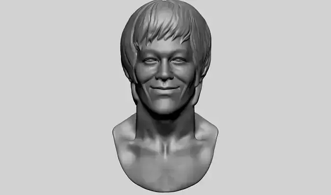 Bruce Lee Bust 3D print model