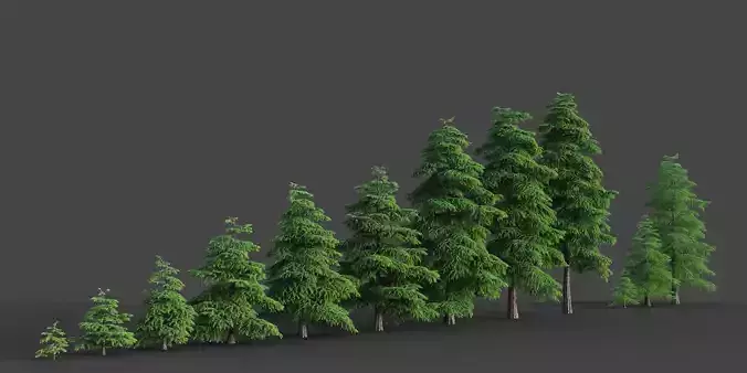 XfrogPlants Himalayan Cedar - Cedrus Deodara  3D model