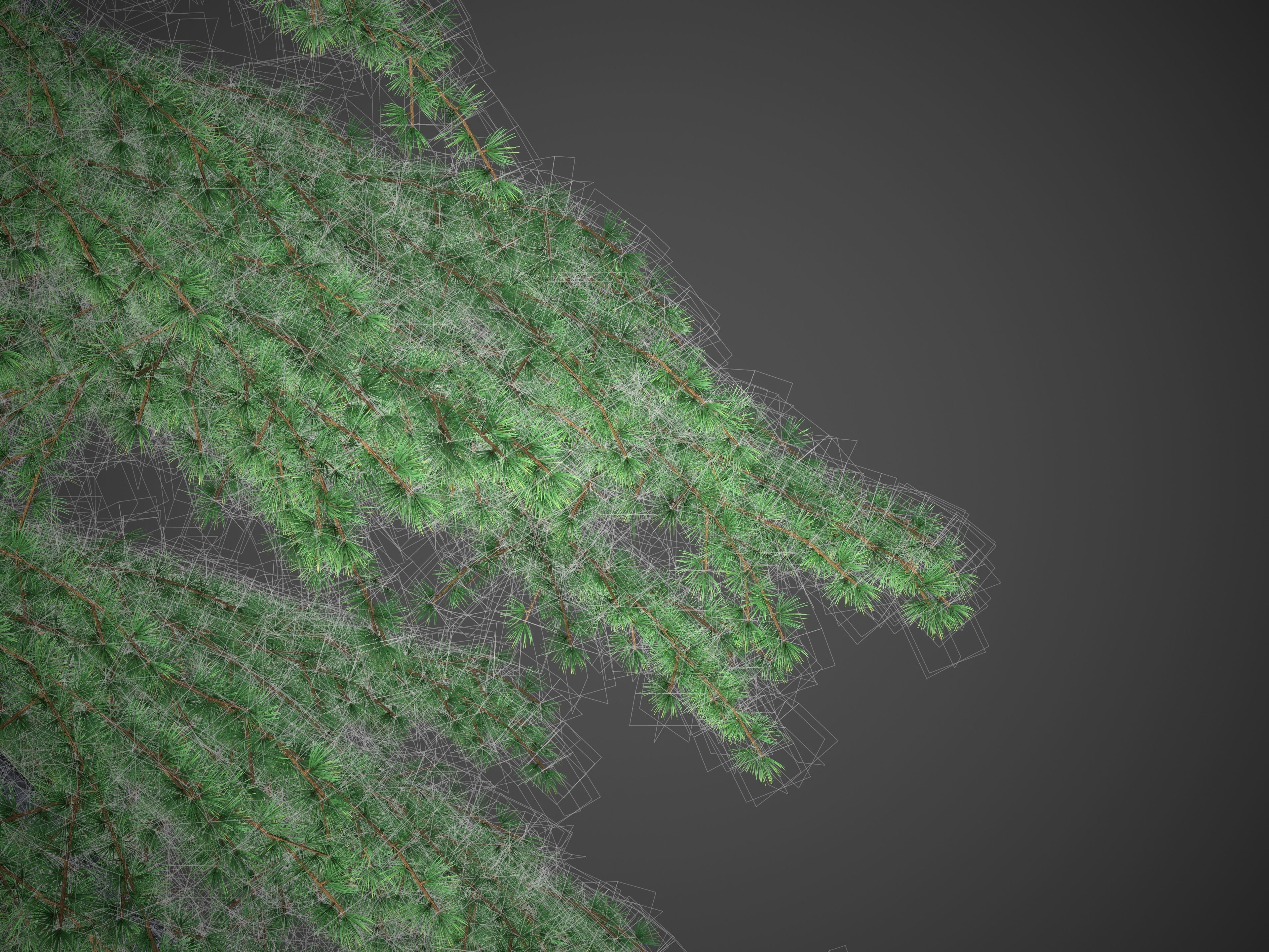 XfrogPlants Himalayan Cedar - Cedrus Deodara 3D model_6