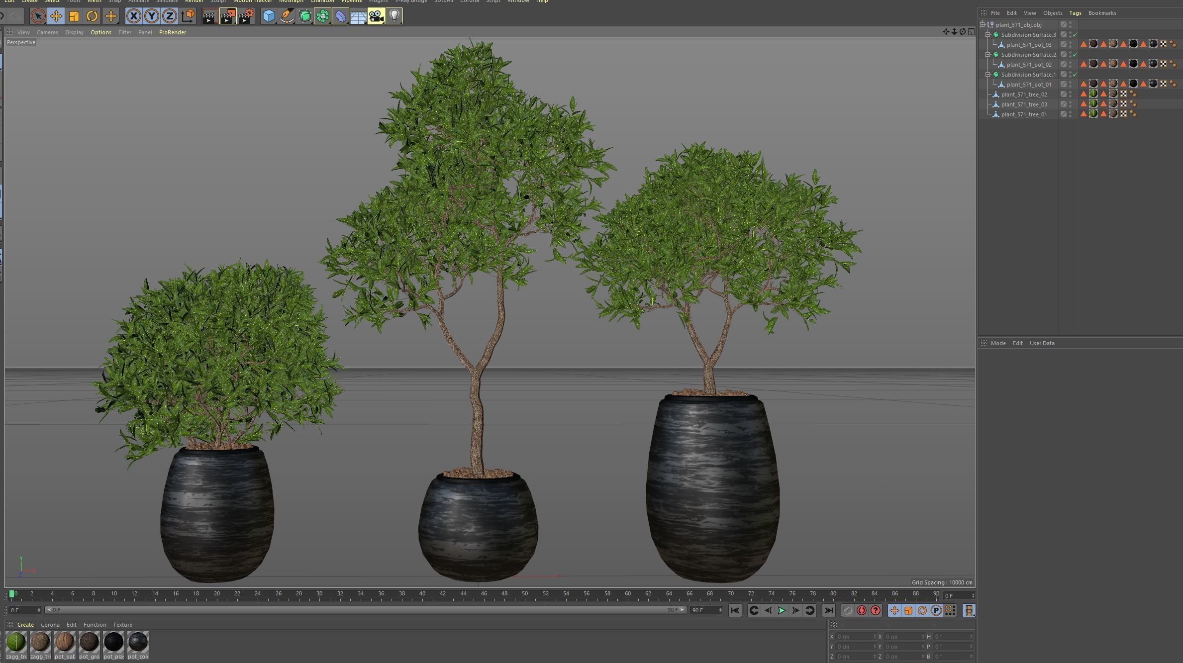 Plants collection 571 3D model_5