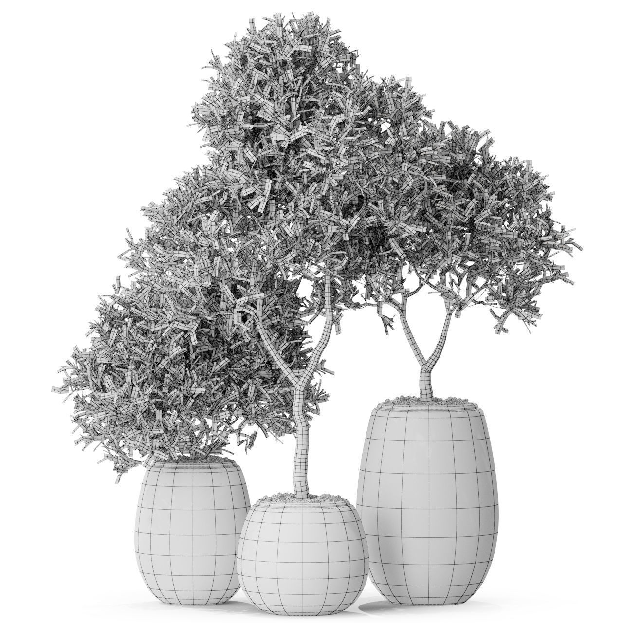 Plants collection 571 3D model_4