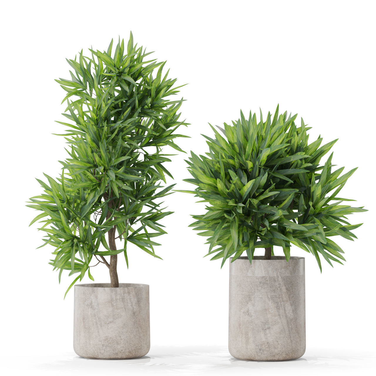 Plants collection 572 3D model_2