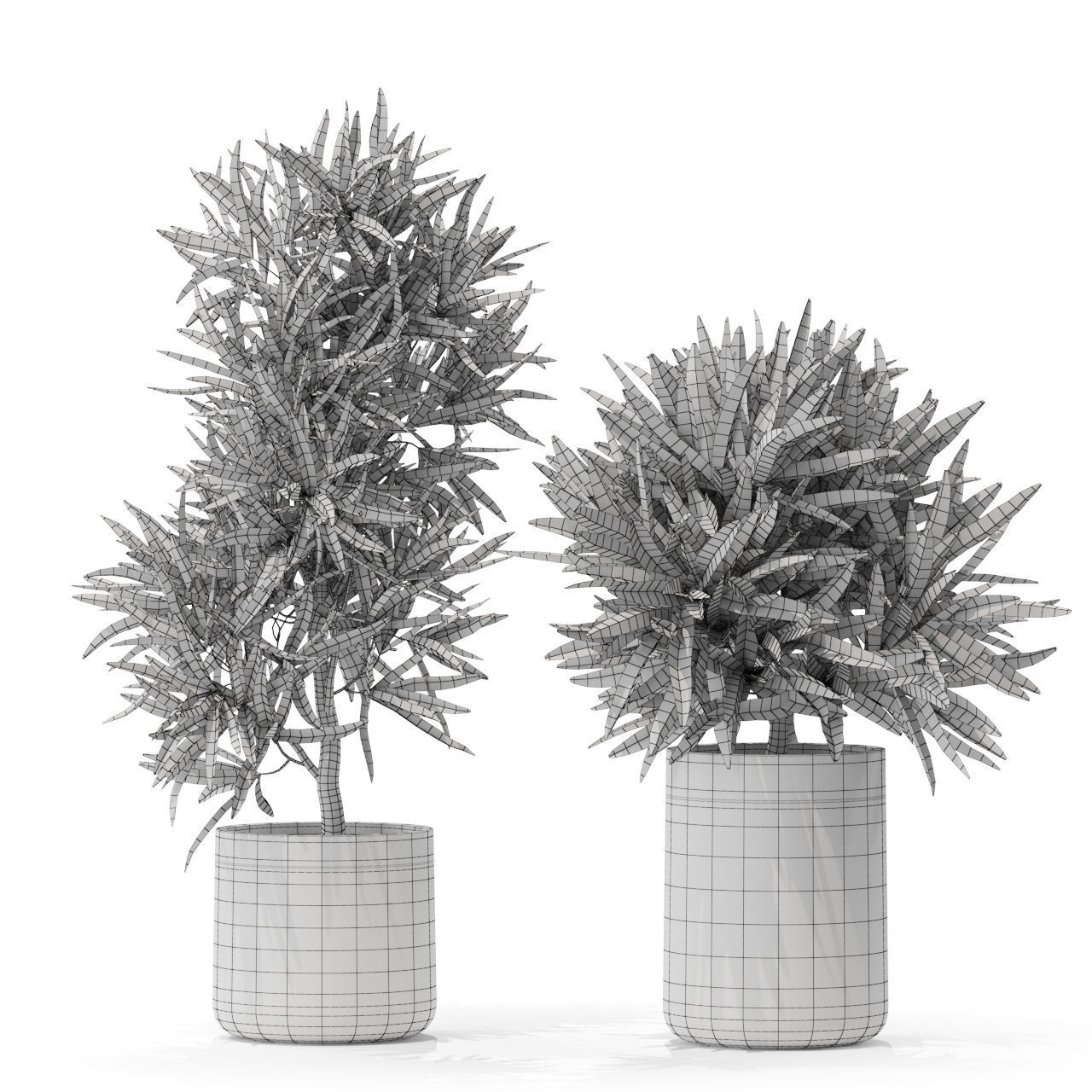 Plants collection 572 3D model_4