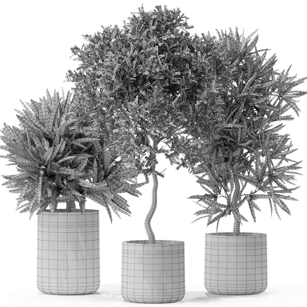 Plants collection 572 3D model_3