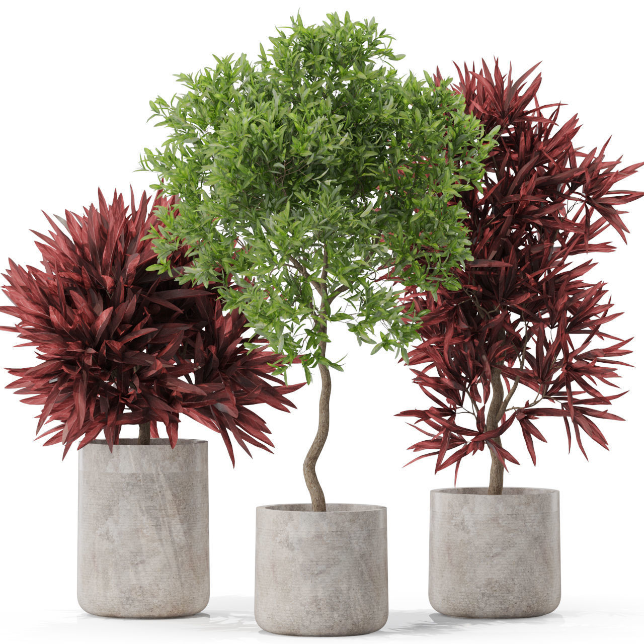 Plants collection 572 3D model_1