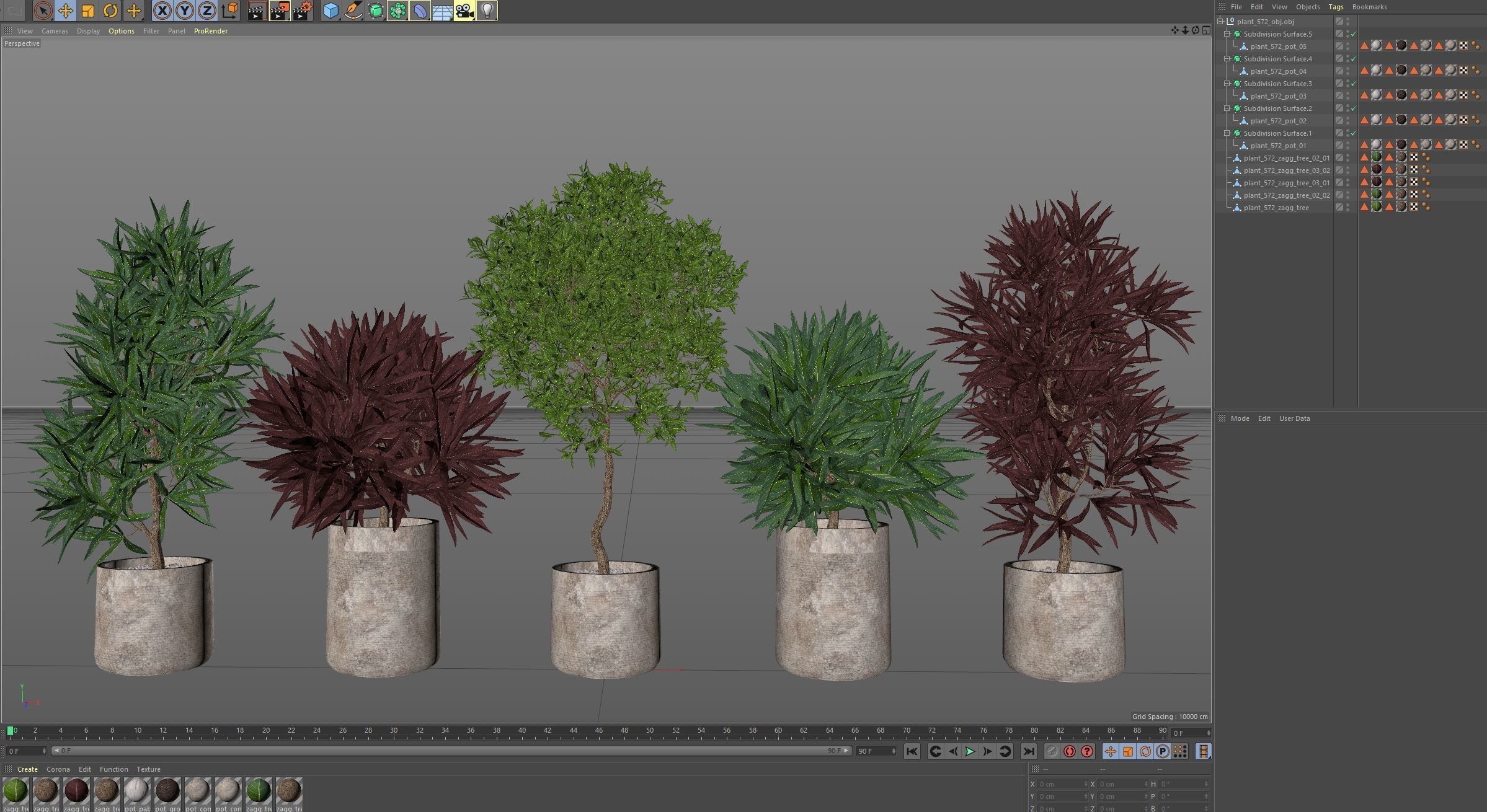 Plants collection 572 3D model_6